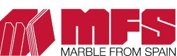 Logo MFS